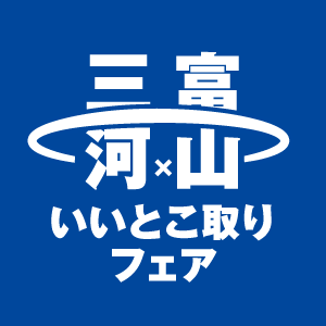 logo_mikawatoyama.png