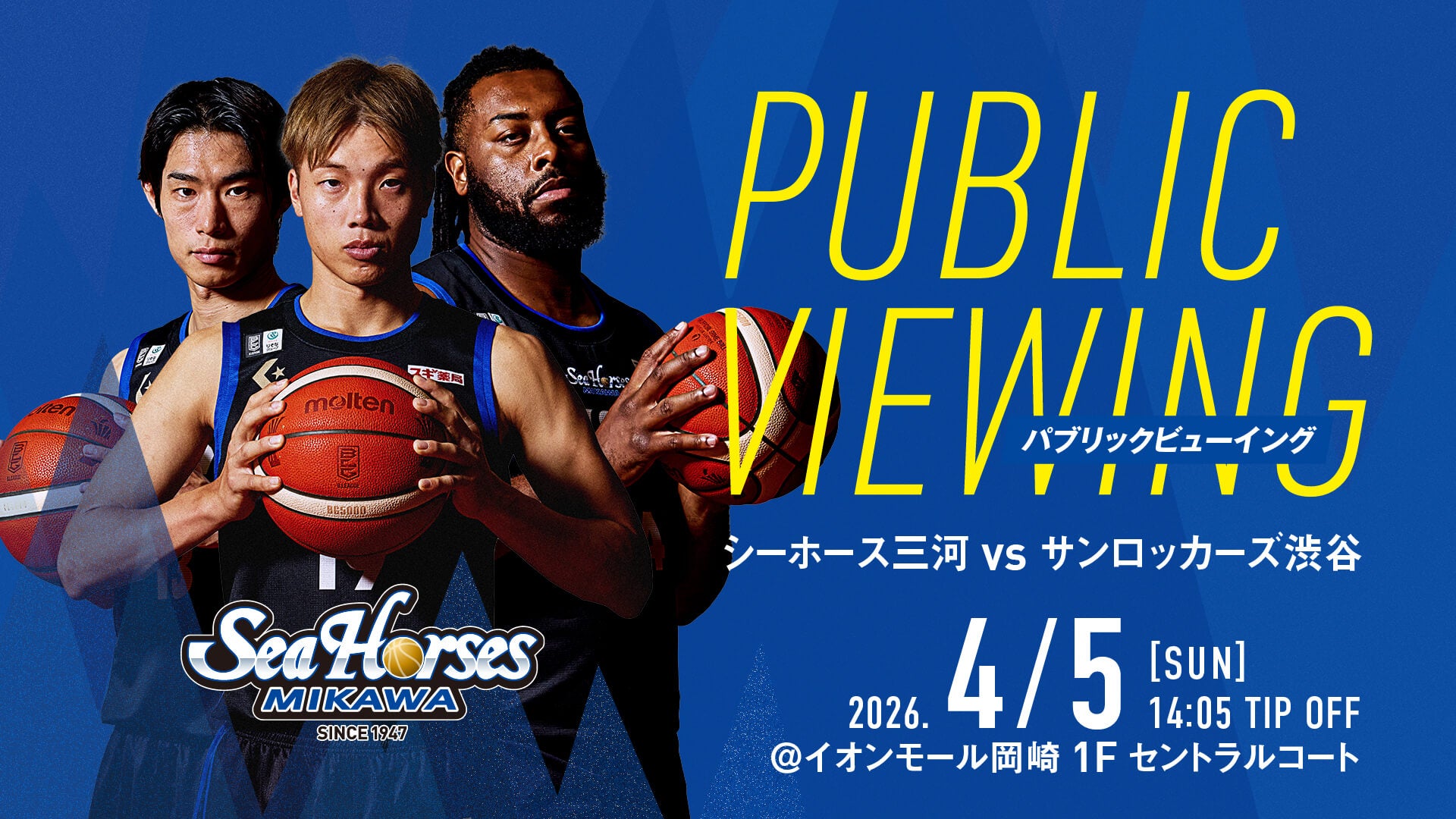 パブリックビューイング 4/5(日)