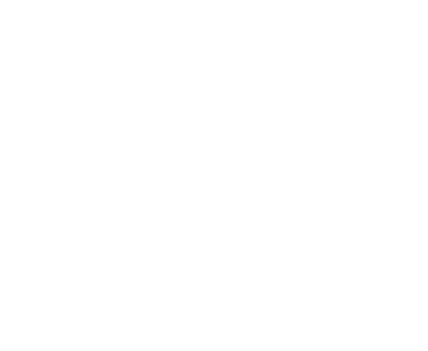 シェブロンアンドスター