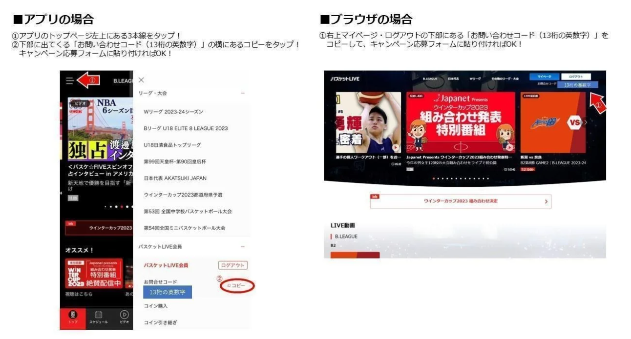 バスケットLIVE