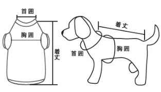 コットンTシャツ